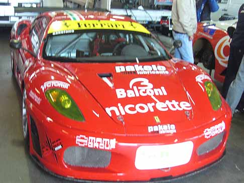 Motor Show Area Paddock