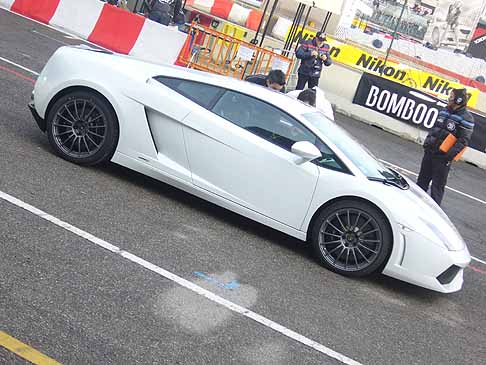 Motor Show Area Paddock