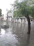 Nubifragio abbattuto su Acquaviva (Bari) del 14 giugno 2014