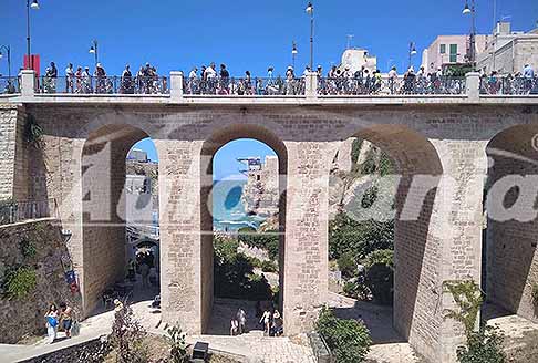 Tuffi Polignano a Mare Cliff Diving - Ponte Borbonico su Lama Monachile al Red Bull Cliff Diving World Siries 2025 a Polignano a Mare - Bari